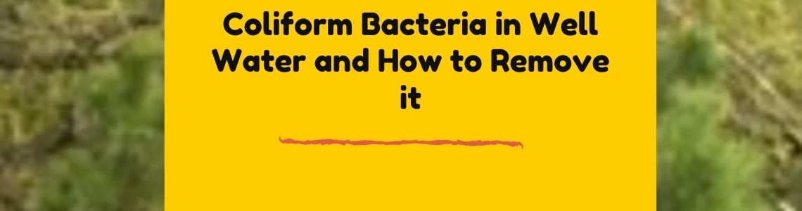 Guide to get rid of coliform bacteria from drinking water