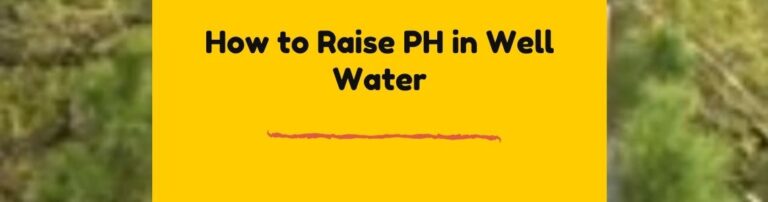 methods to raise pH level of well water