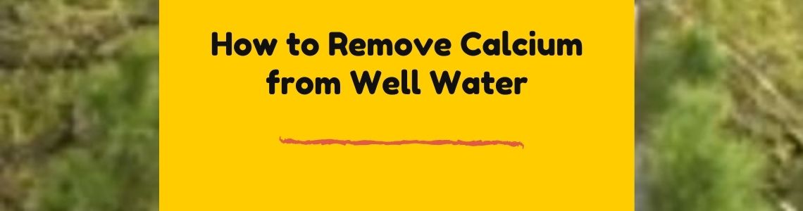 methods to remove excessive calcium from water
