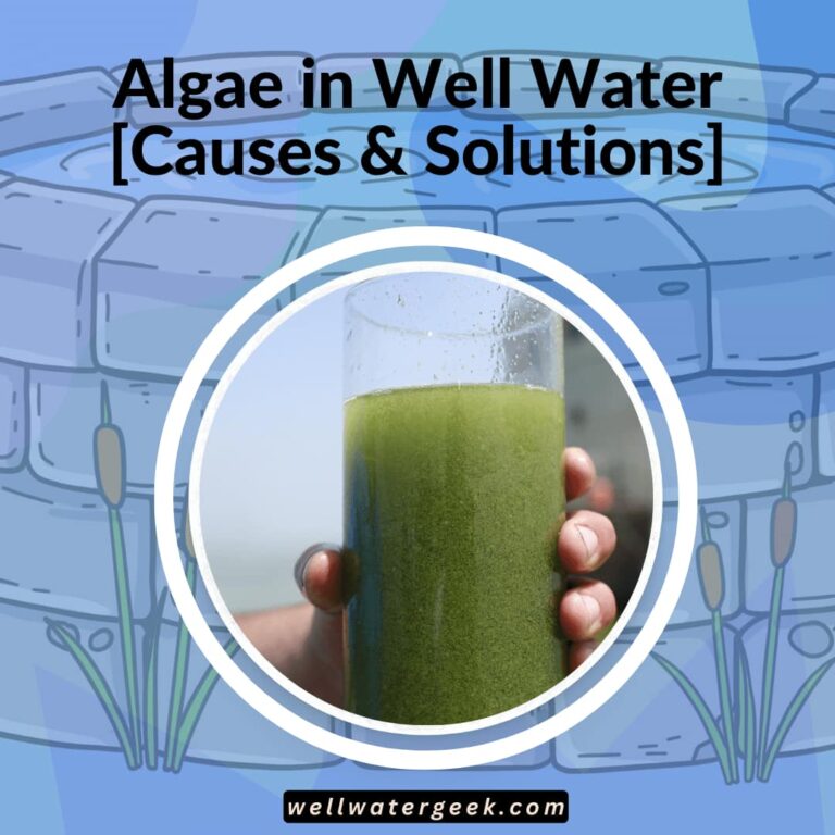 Algae in Well Water[Causes & Solutions]