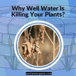 Why Well Water Is Killing Your Plants